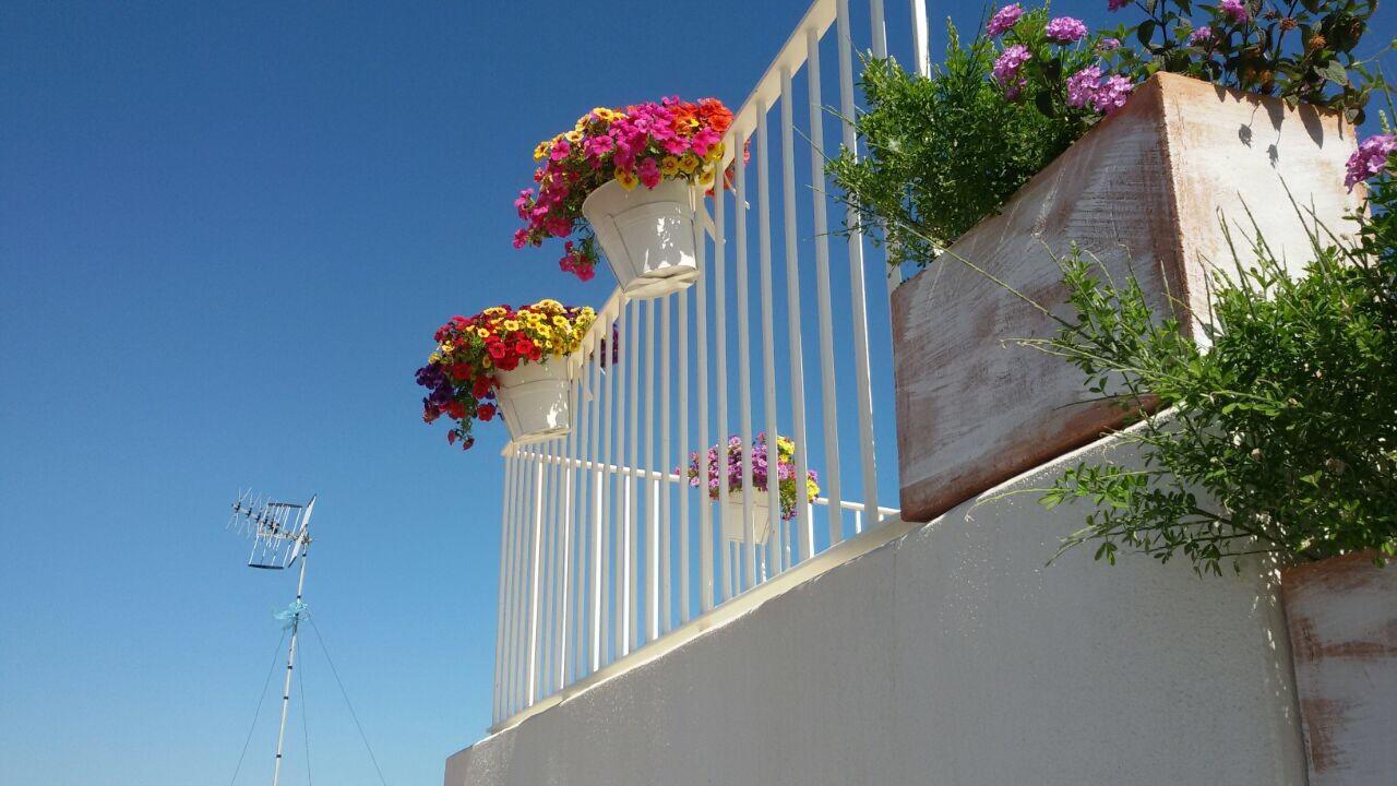 Bed and Breakfast La Naca sul Porto Polignano a Mare Exterior foto